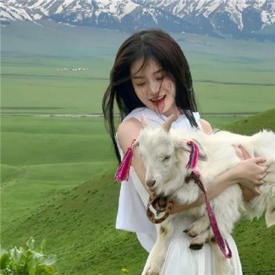 无间道第三季